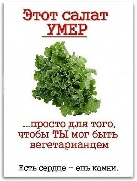 антивегетарианство-приколы-про-вегетарианство-61265.jpeg
