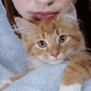 Аватара пользователя