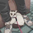 Аватара пользователя