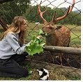 Аватара пользователя