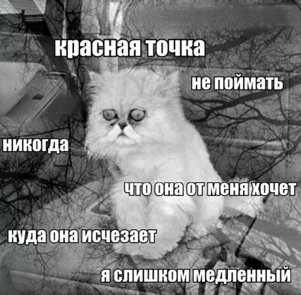 5q6nFDnWGZY.jpg