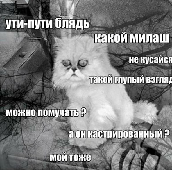 lMGgRY-16L8.jpg