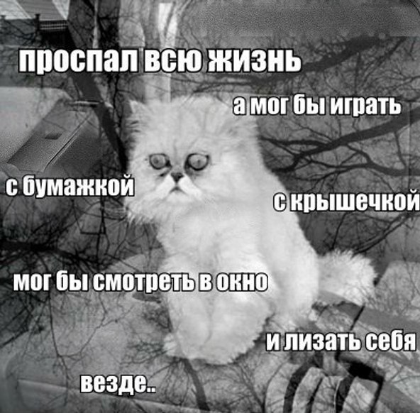 tfNoDOfg6Uw (1).jpg