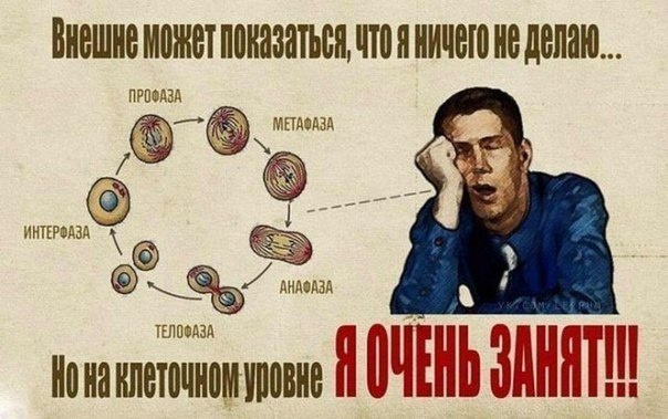 vVU49L1B1sk.jpg