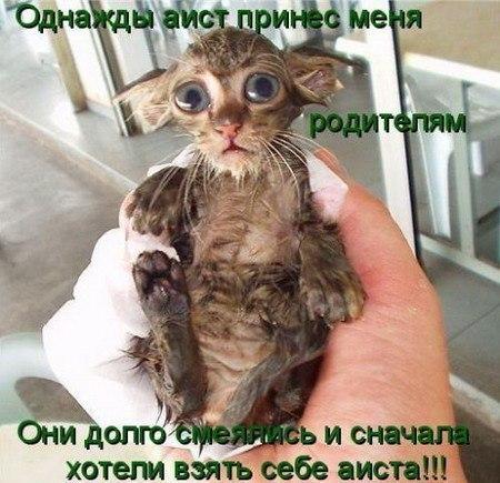 Kr3t3iefWQU.jpg
