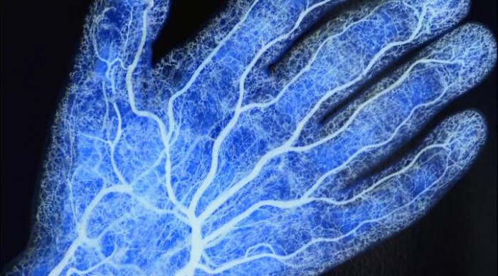 fractal-700x388.jpg