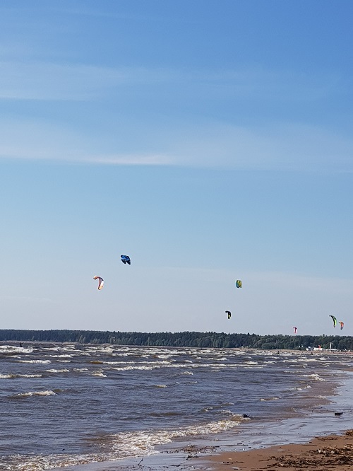 20180602_170950[1].jpg