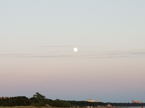 20180626_222917.jpg