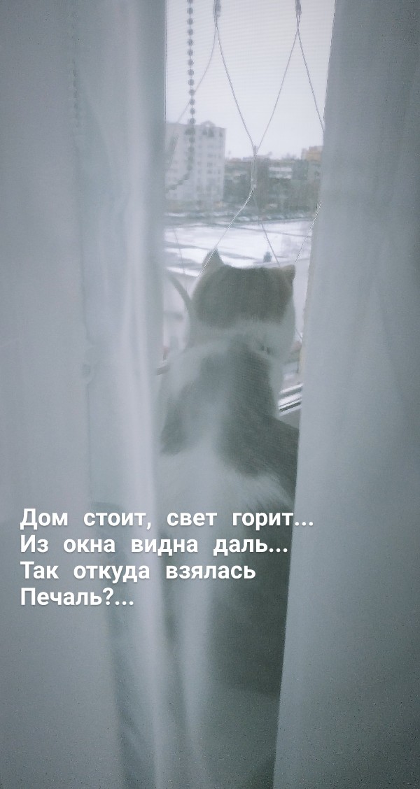 PicsArt_01-22-09.22.41.jpg