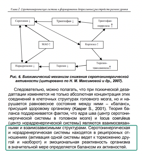 SCR-20220816-fqq.png