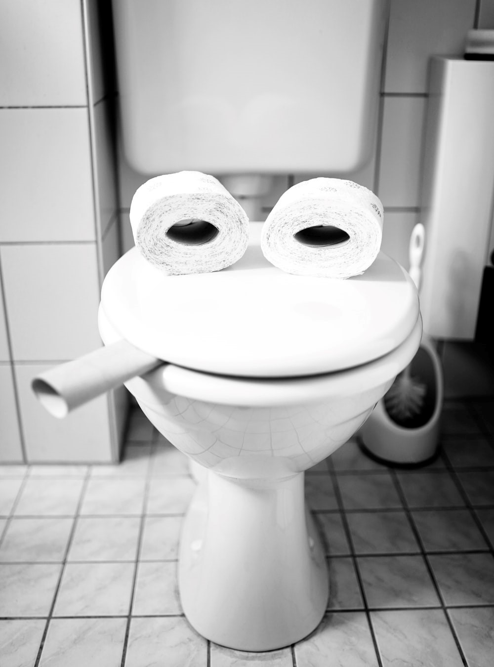 toilet.jpg