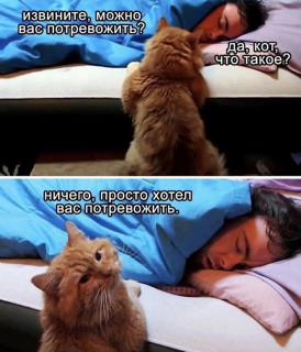 IMG_4372.png