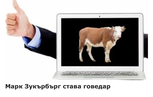 IMG_4708.jpeg