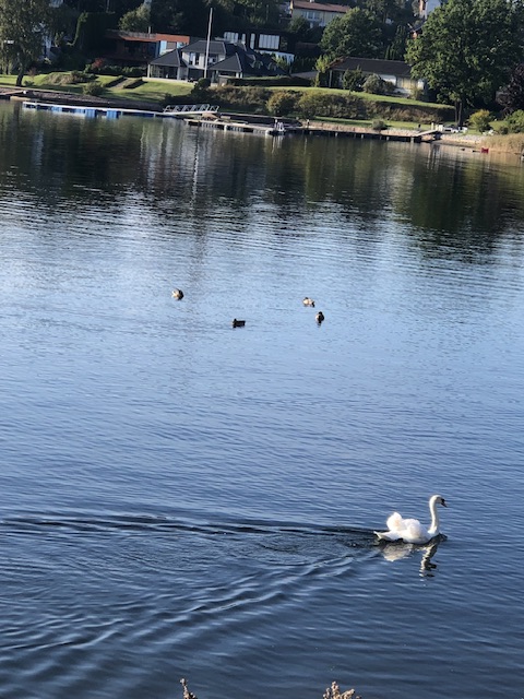 IMG_6742.jpeg