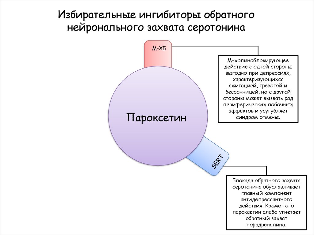slide-46.jpg