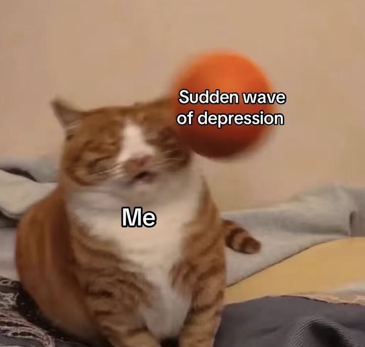 12e865a74da274ce3ce440553b3d6ff5.jpg