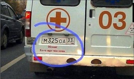 919007.jpg