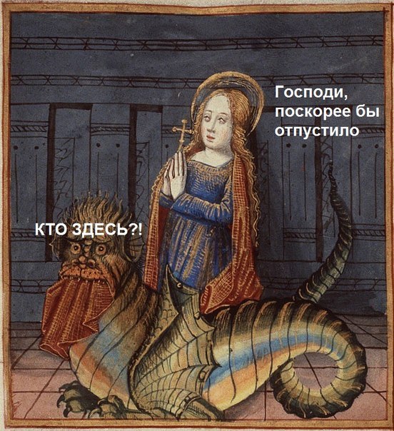 -Ziets4xL80.jpg